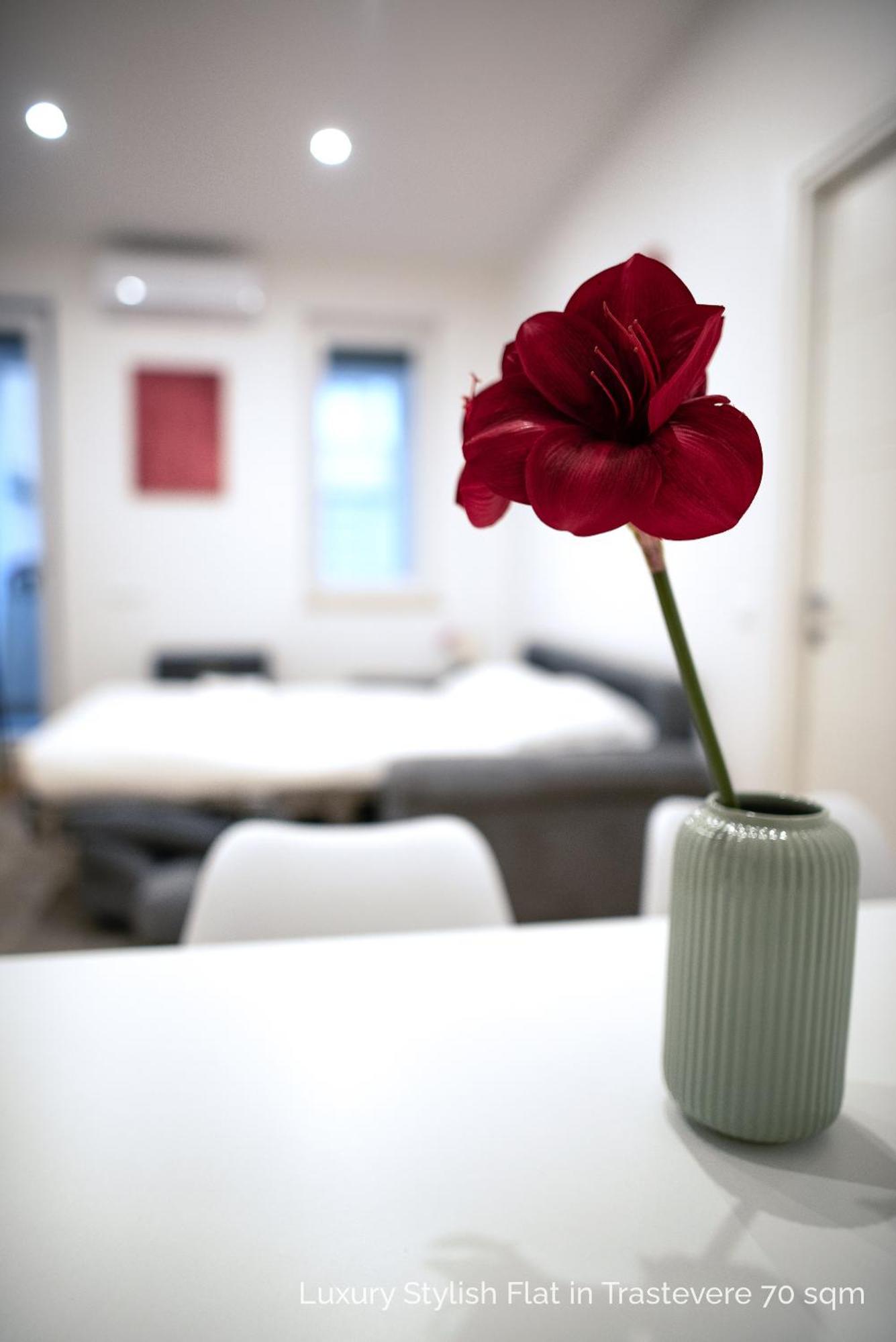 La Dolce Vita - Luxury Stylish Flats In Trastevere 70-90Sqm Rome Buitenkant foto